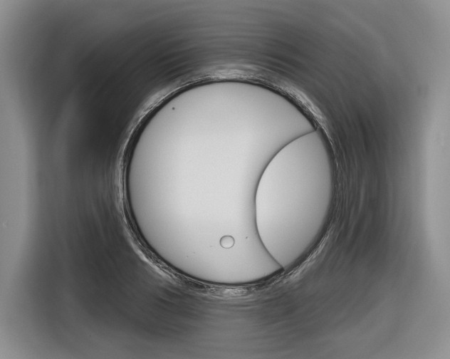 X0000116670986200912140942