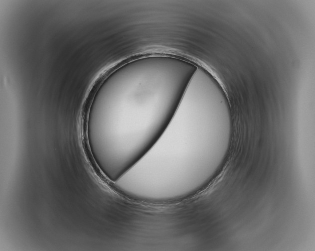 X0000116670987200912140942