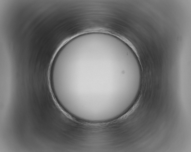 X0000116670989200912140942
