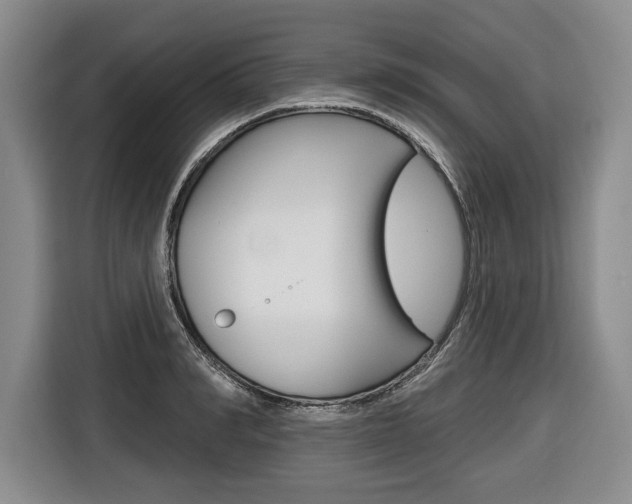 X0000116670990200912140942
