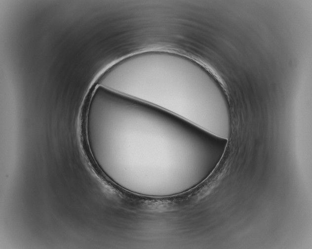 X0000116670991200912140942