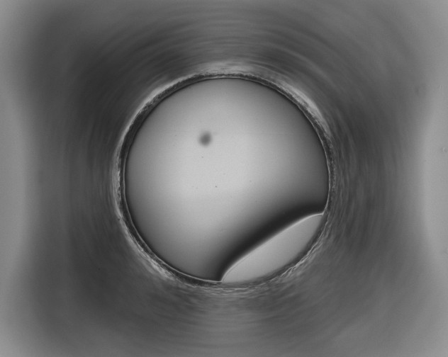 X0000116670992200912140942