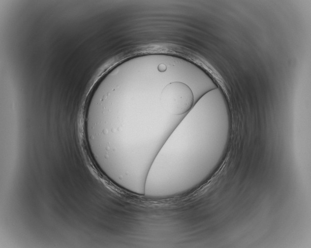 X0000116670994200912140942