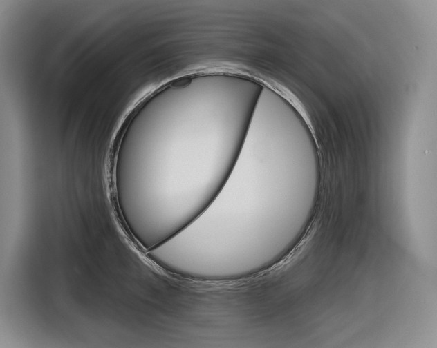 X0000116670997200912140942