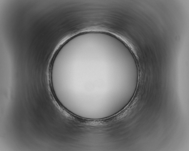 X0000116670998200912140941
