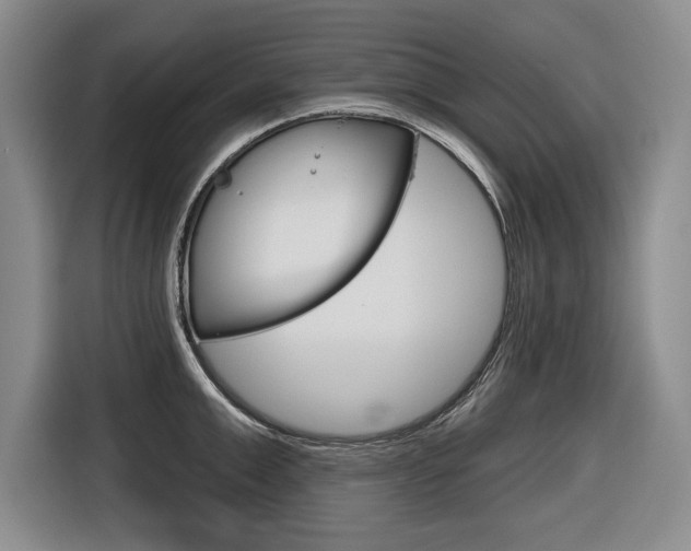 X0000116670999200912140941
