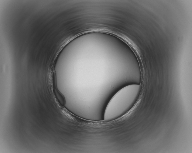 X0000116671001200912140941