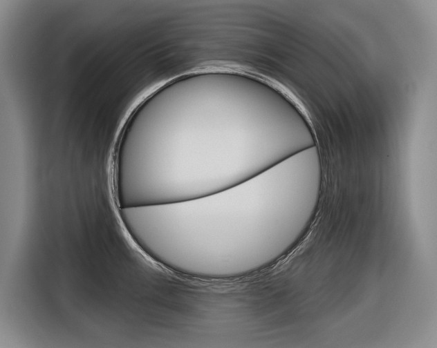 X0000116671003200912140941