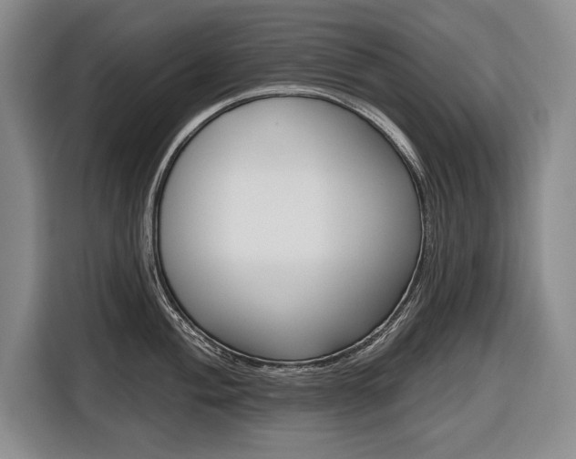 X0000116671004200912140941