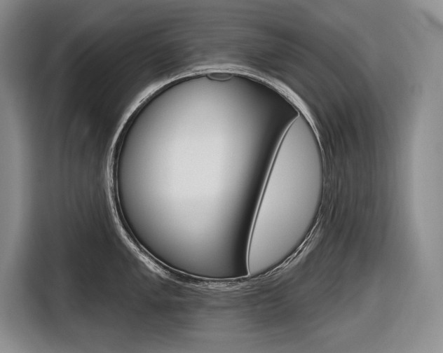 X0000116671005200912140941