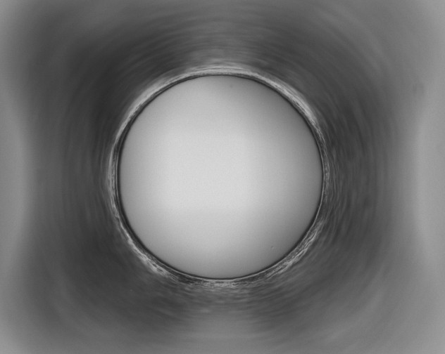 X0000116671006200912140941