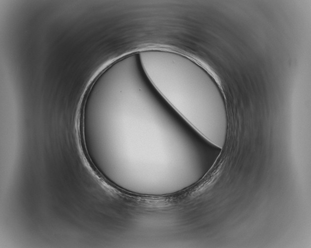 X0000116671007200912140941