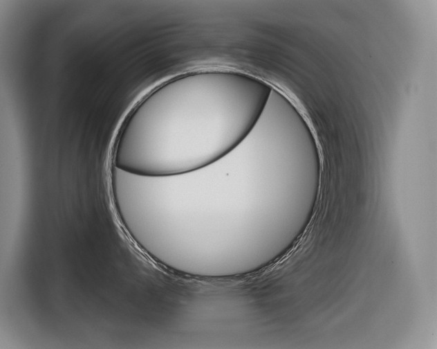 X0000116671008200912140941