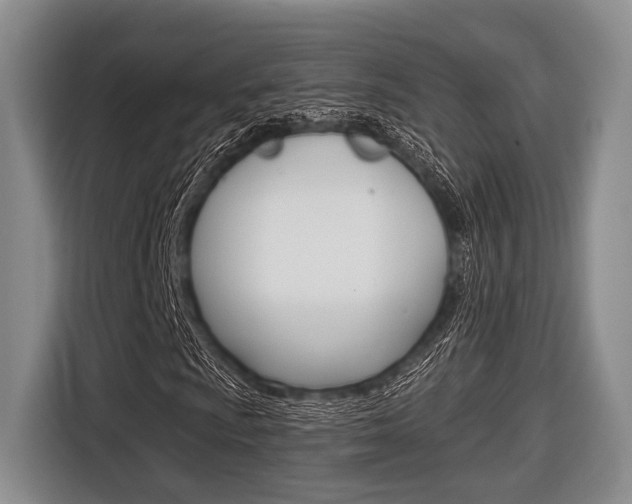 X0000116671009200912140941