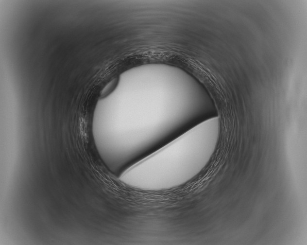 X0000116671010200912140941