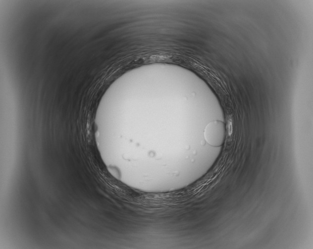X0000116671011200912140941