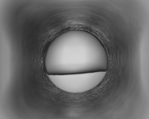 X0000116671013200912140941