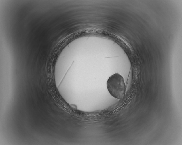 X0000116671015200912140941