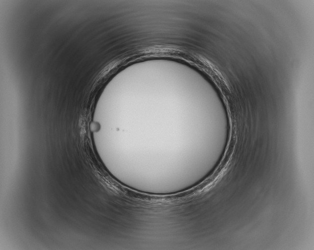 X0000116671017200912140941