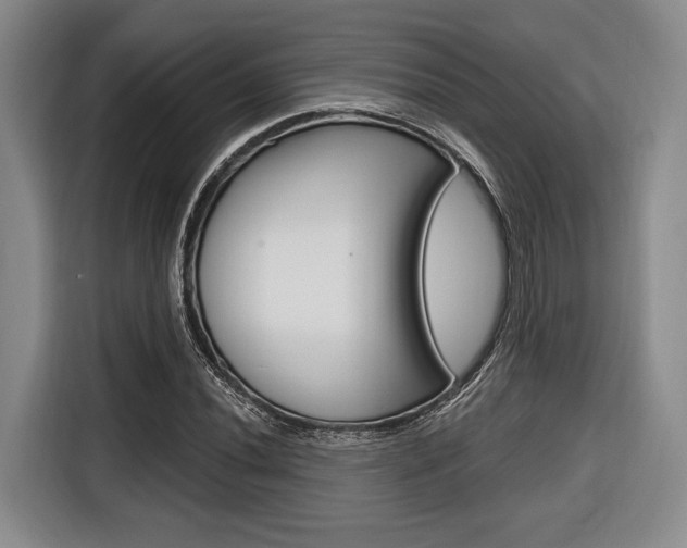 X0000116671020200912140941