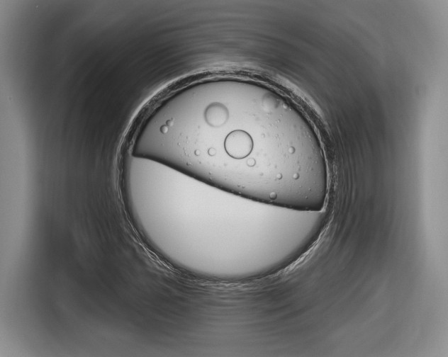 X0000116671021200912140941