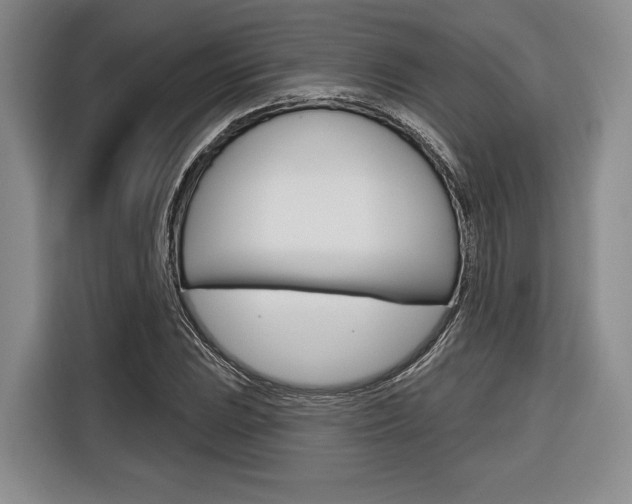X0000116671023200912140941