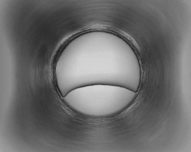 X0000116671027200912140941