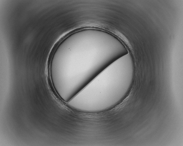 X0000116671028200912140941