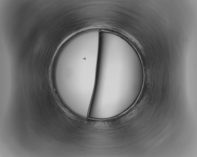 X0000116671029200912140941
