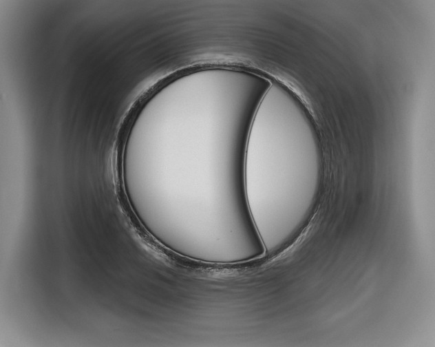 X0000116671030200912140941