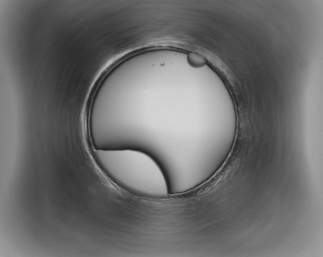 X0000116671032200912140941