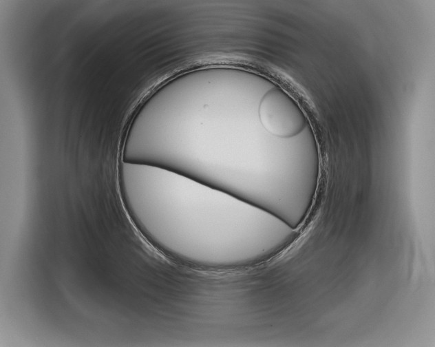 X0000116671033200912140941