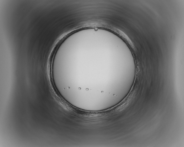 X0000116671035200912140941