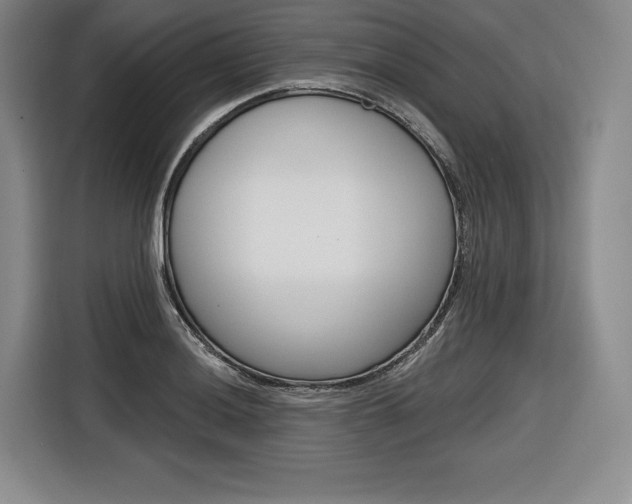 X0000116671036200912140941