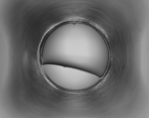X0000116671037200912140941