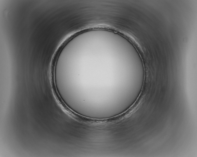 X0000116671038200912140941