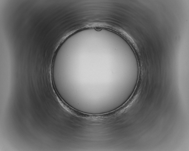 X0000116671041200912140941