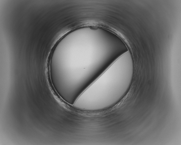 X0000116671042200912140941