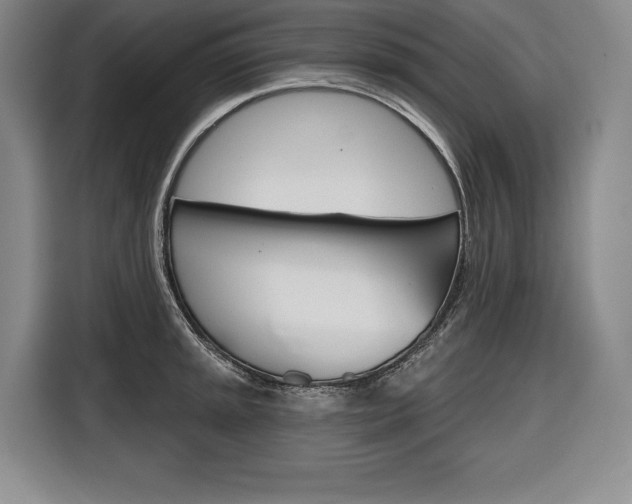 X0000116671045200912140941