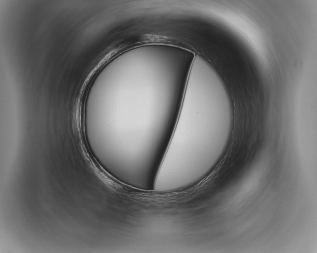 X0000116671054200912140941