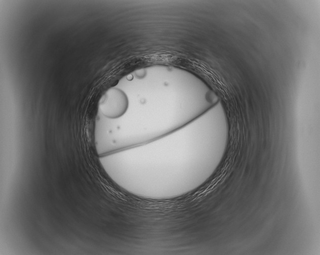 X0000116671058200912140941