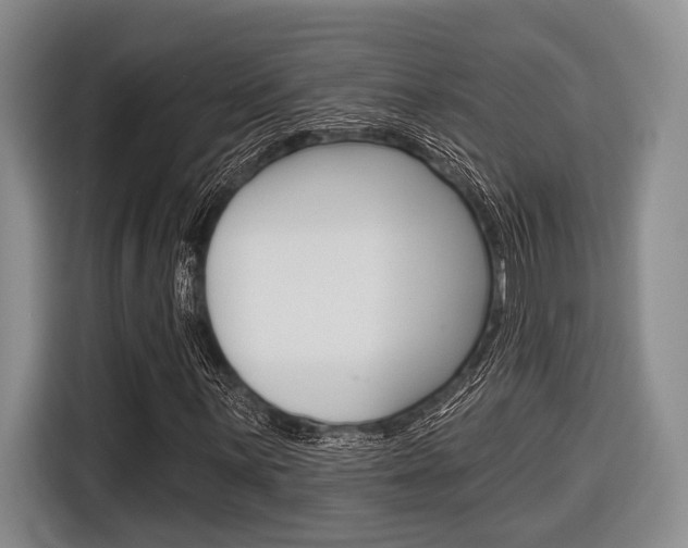 X0000116671059200912140941