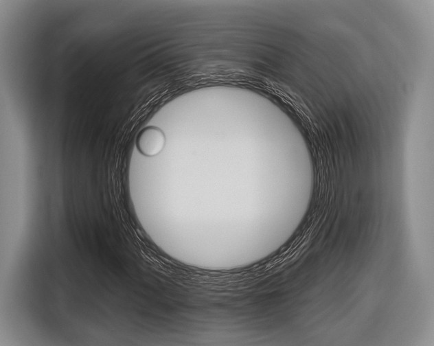 X0000116671060200912140941