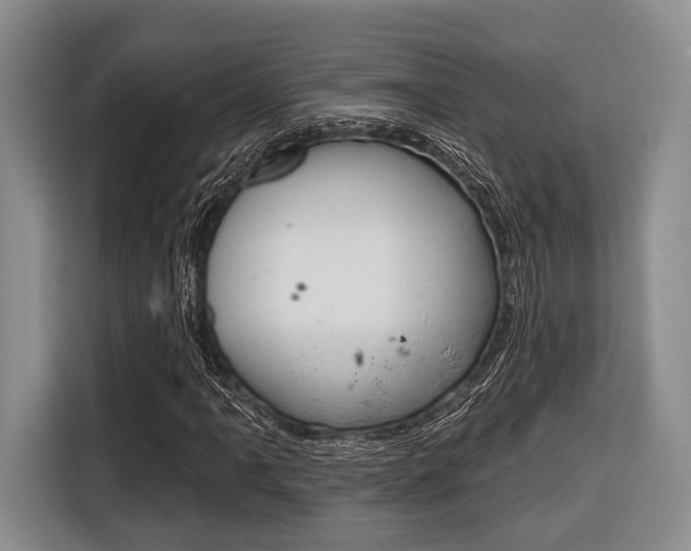 X0000116671061200912140941
