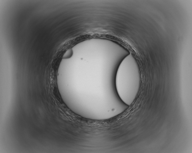 X0000116671063200912140941