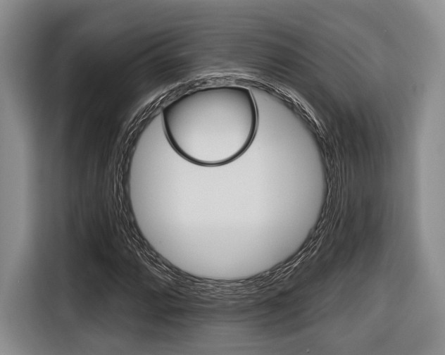 X0000116671064200912140941
