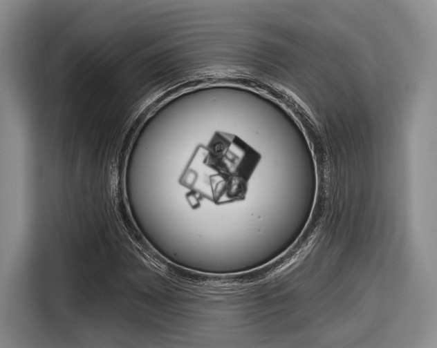 X0000116671065200912140941