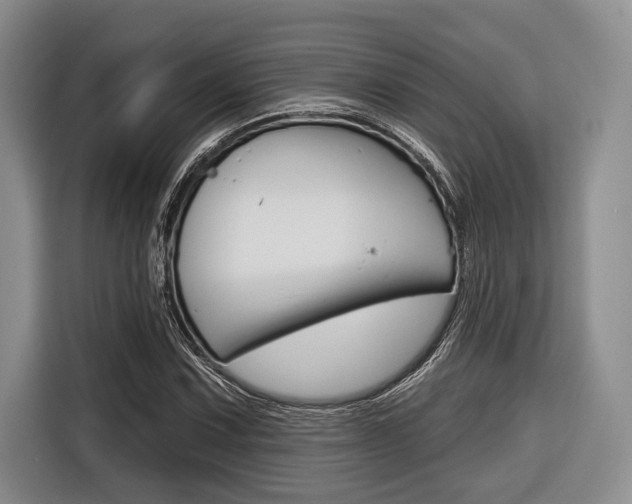 X0000116671067200912140941