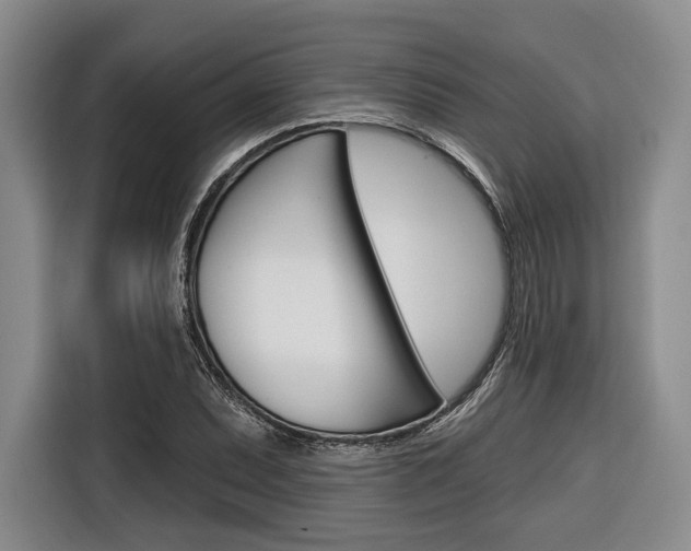 X0000116671071200912140941