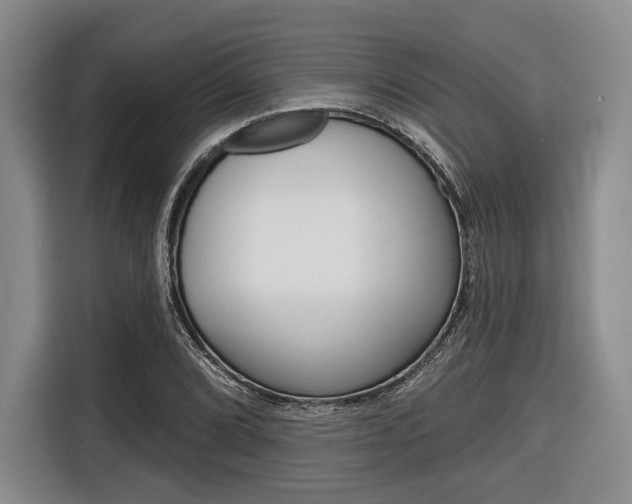X0000116671072200912140941